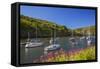 Solva Harbour, Pembrokeshire, Wales, United Kingdom-Billy Stock-Framed Stretched Canvas