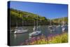 Solva Harbour, Pembrokeshire, Wales, United Kingdom-Billy Stock-Stretched Canvas
