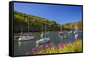 Solva Harbour, Pembrokeshire, Wales, United Kingdom-Billy Stock-Framed Stretched Canvas