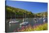 Solva Harbour, Pembrokeshire, Wales, United Kingdom-Billy Stock-Stretched Canvas