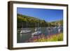 Solva Harbour, Pembrokeshire, Wales, United Kingdom-Billy Stock-Framed Photographic Print