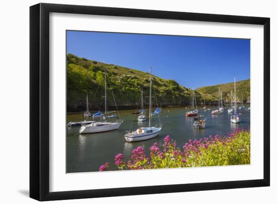 Solva Harbour, Pembrokeshire, Wales, United Kingdom-Billy Stock-Framed Photographic Print