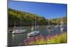 Solva Harbour, Pembrokeshire, Wales, United Kingdom-Billy Stock-Mounted Photographic Print