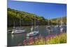 Solva Harbour, Pembrokeshire, Wales, United Kingdom-Billy Stock-Mounted Photographic Print