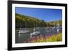 Solva Harbour, Pembrokeshire, Wales, United Kingdom-Billy Stock-Framed Photographic Print