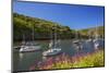 Solva Harbour, Pembrokeshire, Wales, United Kingdom-Billy Stock-Mounted Photographic Print