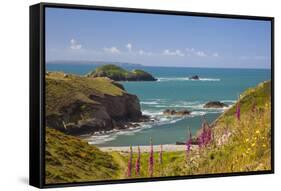 Solva, Pembrokeshire, Wales, United Kingdom-Billy Stock-Framed Stretched Canvas