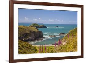 Solva, Pembrokeshire, Wales, United Kingdom-Billy Stock-Framed Photographic Print