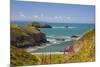 Solva, Pembrokeshire, Wales, United Kingdom-Billy Stock-Mounted Photographic Print