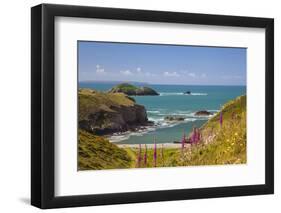 Solva, Pembrokeshire, Wales, United Kingdom-Billy Stock-Framed Photographic Print