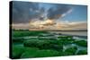 Solway Firth at Twilight-Richard Gill-Stretched Canvas