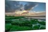 Solway Firth at Twilight-Richard Gill-Mounted Photographic Print