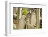 Solyman Mosque-Guido Cozzi-Framed Photographic Print