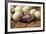 Somali Ostrich (Struthio Molybdophanes) Hatching, Samburu Game Reserve, Kenya-Denis-Huot-Framed Photographic Print