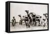 Somali Troops-null-Framed Stretched Canvas