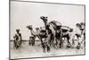Somali Troops-null-Mounted Photographic Print