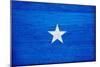 Somalia Flag Design with Wood Patterning - Flags of the World Series-Philippe Hugonnard-Mounted Art Print