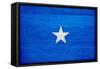 Somalia Flag Design with Wood Patterning - Flags of the World Series-Philippe Hugonnard-Framed Stretched Canvas