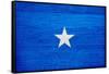 Somalia Flag Design with Wood Patterning - Flags of the World Series-Philippe Hugonnard-Framed Stretched Canvas