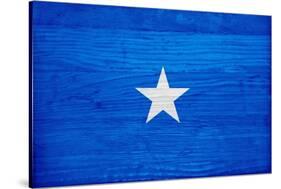 Somalia Flag Design with Wood Patterning - Flags of the World Series-Philippe Hugonnard-Stretched Canvas