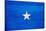 Somalia Flag Design with Wood Patterning - Flags of the World Series-Philippe Hugonnard-Stretched Canvas