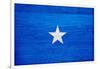 Somalia Flag Design with Wood Patterning - Flags of the World Series-Philippe Hugonnard-Framed Art Print