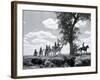 Somaliland Camel Corps in Formation-null-Framed Photographic Print