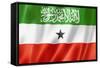 Somaliland Flag-daboost-Framed Stretched Canvas