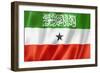Somaliland Flag-daboost-Framed Art Print