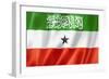 Somaliland Flag-daboost-Framed Art Print