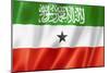Somaliland Flag-daboost-Mounted Art Print