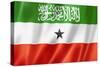 Somaliland Flag-daboost-Stretched Canvas