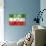 Somaliland Flag-daboost-Art Print displayed on a wall