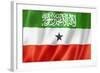 Somaliland Flag-daboost-Framed Art Print