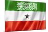 Somaliland Flag-daboost-Mounted Art Print