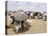 Somaliland Women with Their Goats Protect Themselves from Hot Sun with Umbrellas-Sayyid Azim-Stretched Canvas