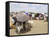 Somaliland Women with Their Goats Protect Themselves from Hot Sun with Umbrellas-Sayyid Azim-Framed Stretched Canvas