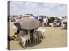 Somaliland Women with Their Goats Protect Themselves from Hot Sun with Umbrellas-Sayyid Azim-Stretched Canvas