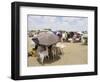 Somaliland Women with Their Goats Protect Themselves from Hot Sun with Umbrellas-Sayyid Azim-Framed Photographic Print