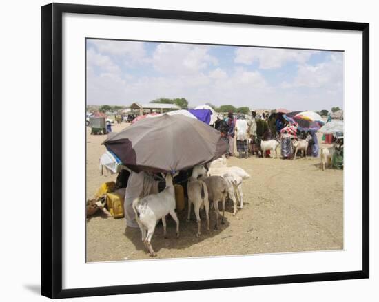 Somaliland Women with Their Goats Protect Themselves from Hot Sun with Umbrellas-Sayyid Azim-Framed Photographic Print