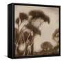 Somber Silhouette-Liz Jardine-Framed Stretched Canvas