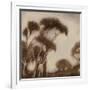 Somber Silhouette-Liz Jardine-Framed Art Print