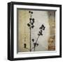 Sombras de Oro II-Noah Li-Leger-Framed Giclee Print