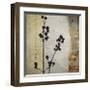 Sombras de Oro II-Noah Li-Leger-Framed Giclee Print