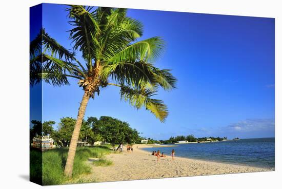 Sombrero Beach in Marathon, Florida Keys, Florida, USA-null-Stretched Canvas