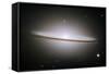 Sombrero Galaxy (M104), HST Image-null-Framed Stretched Canvas