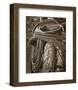 Sombrero Saddle-Barry Hart-Framed Art Print