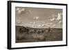 Sombrero Stagecoach-Barry Hart-Framed Art Print