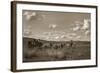 Sombrero Stagecoach-Barry Hart-Framed Art Print