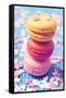 Some Appetizing Macarons of Different Flavors-nito-Framed Stretched Canvas